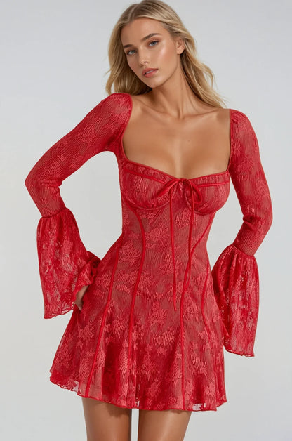 Anissa Vintage Lace Mini Dress