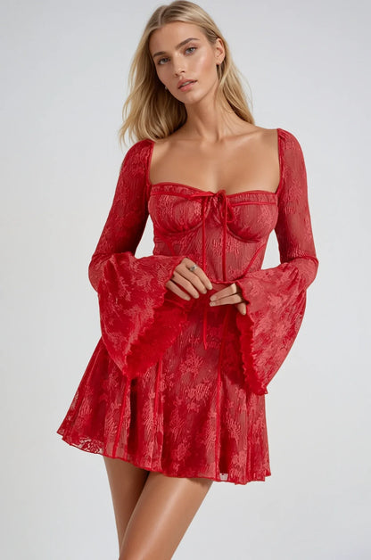 Anissa Vintage Lace Mini Dress